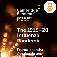 Cambridge Elements in Development Economics | The 1918–20 influenza pandemic: A retrospective in the time of COVID-19