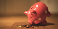 Piggy bank eating coins on a table. Photo by Andre Taissin on Unsplash