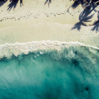 Aerial photography of a white beach and waves. Photo by Andre Abreu on Unsplash