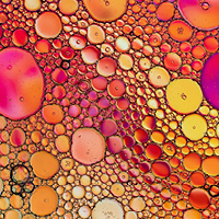 Pinks and yellow bubbles in oil. Photo by Forest Simon on Unsplash