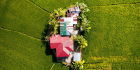 House in a rice field. Photo by Jules Bassoleil on Unsplash