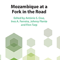 Mozambique at a Fork in the Road